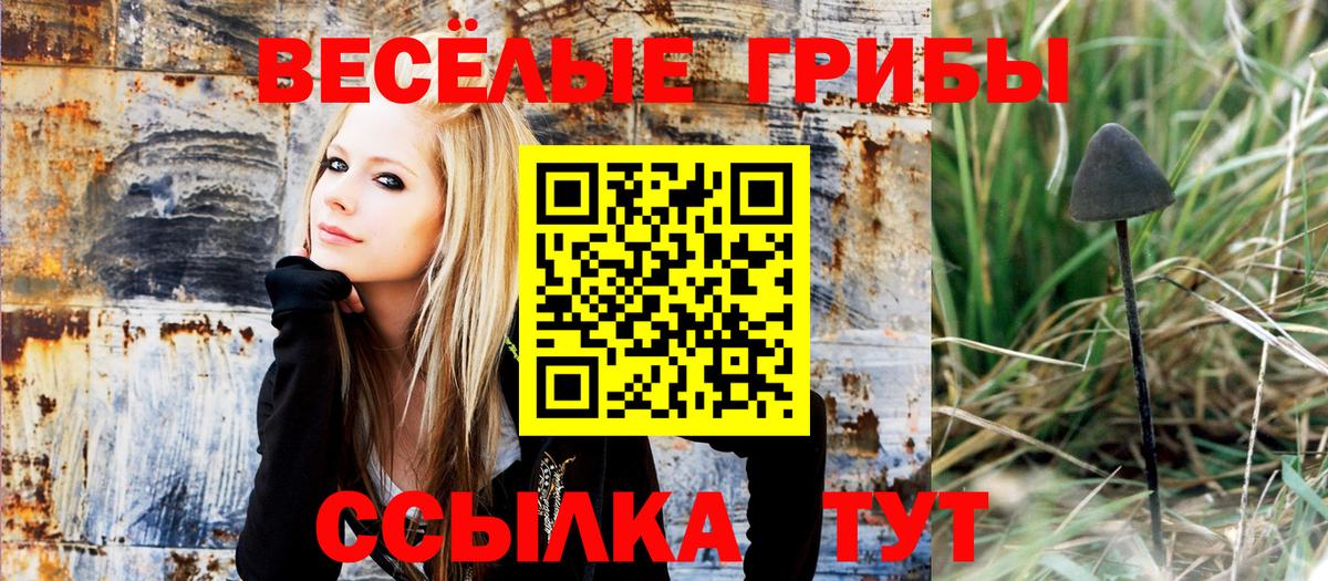 Псилоцибиновые грибы прущие грибы  Вход с VPN  Псилоцибиновые грибы прущие грибы  где продают   Гусев 