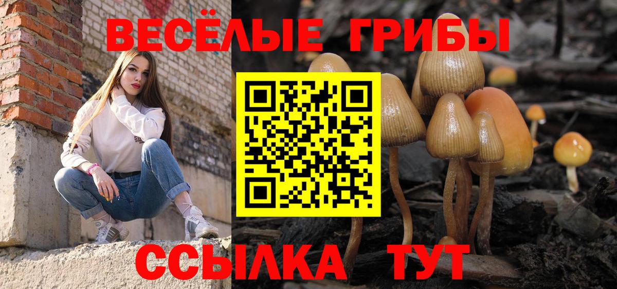 Галлюциногенные грибы MAGIC MUSHROOMS Гусев